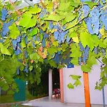 Apartment Marina Vir