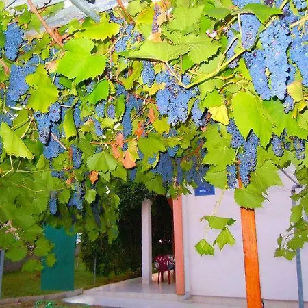 Apartmán Marina Vir