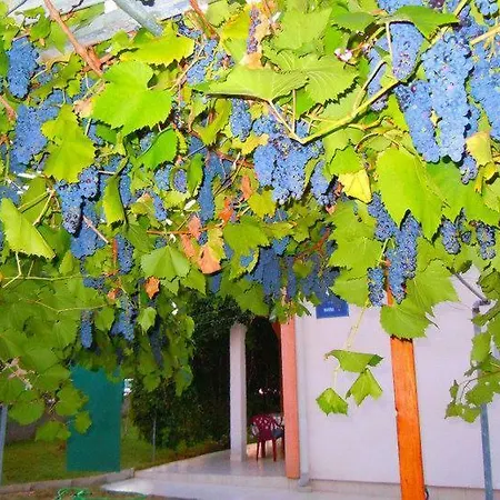 Appartement Marina Vir