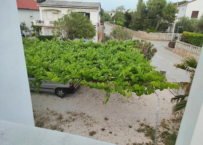 Apartment Marina Vir