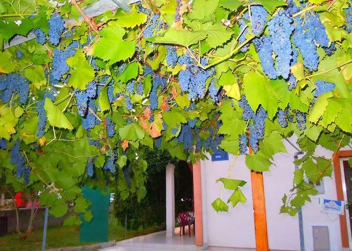 Apartment Marina Vir