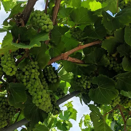 Marina Apartamento *