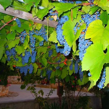 Marina Apartamento *