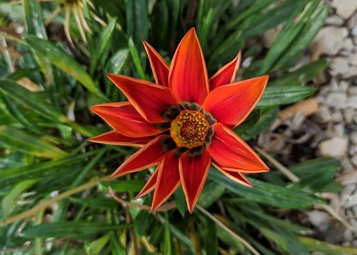 아파트 Marina 비르